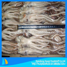 various size super frozen squid head and squid tentacles